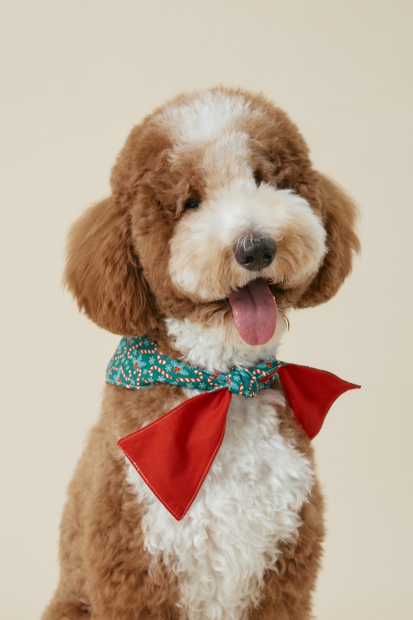 [COSONNE] Candycane Pet Bandanas