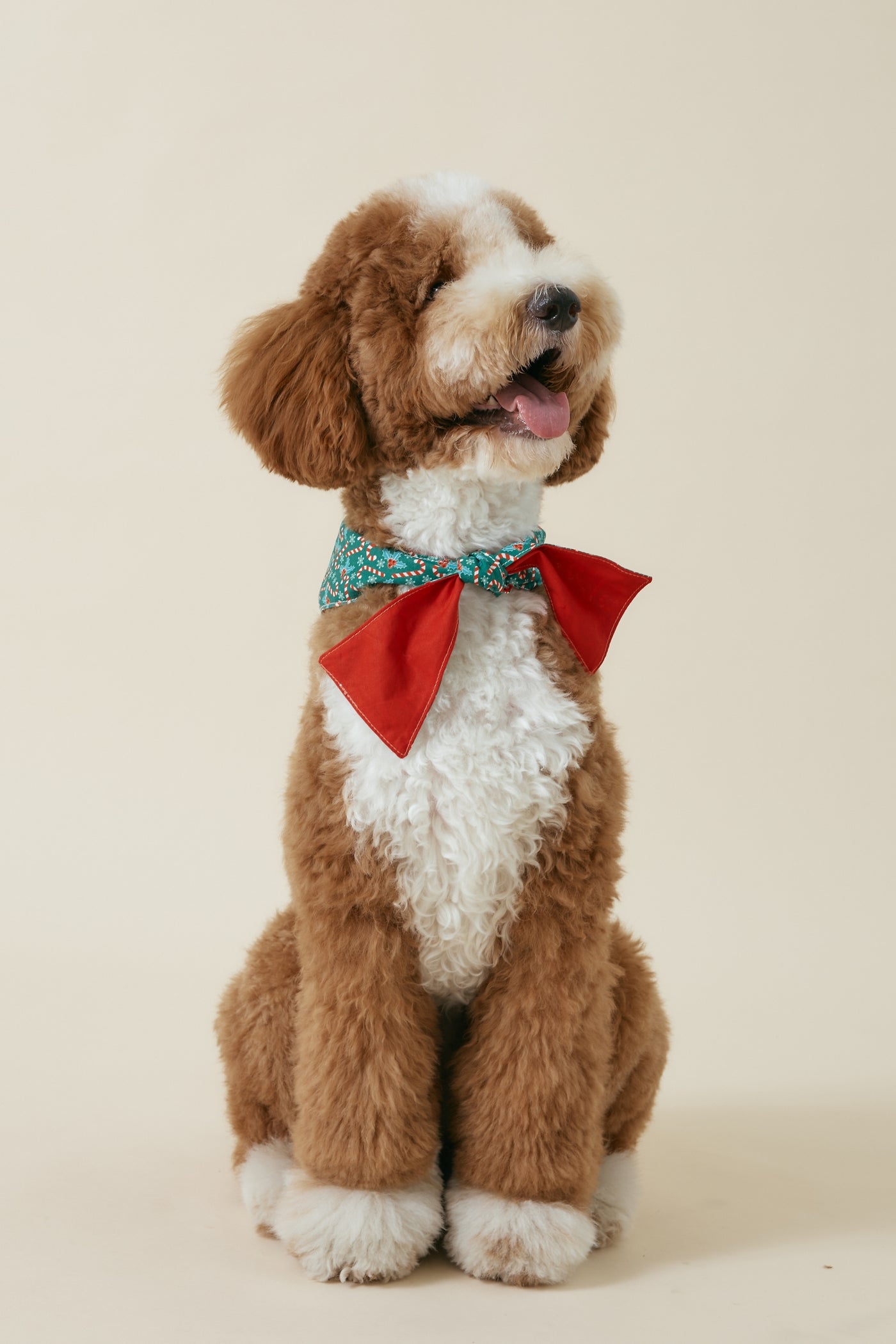 [COSONNE] Candycane Pet Bandanas