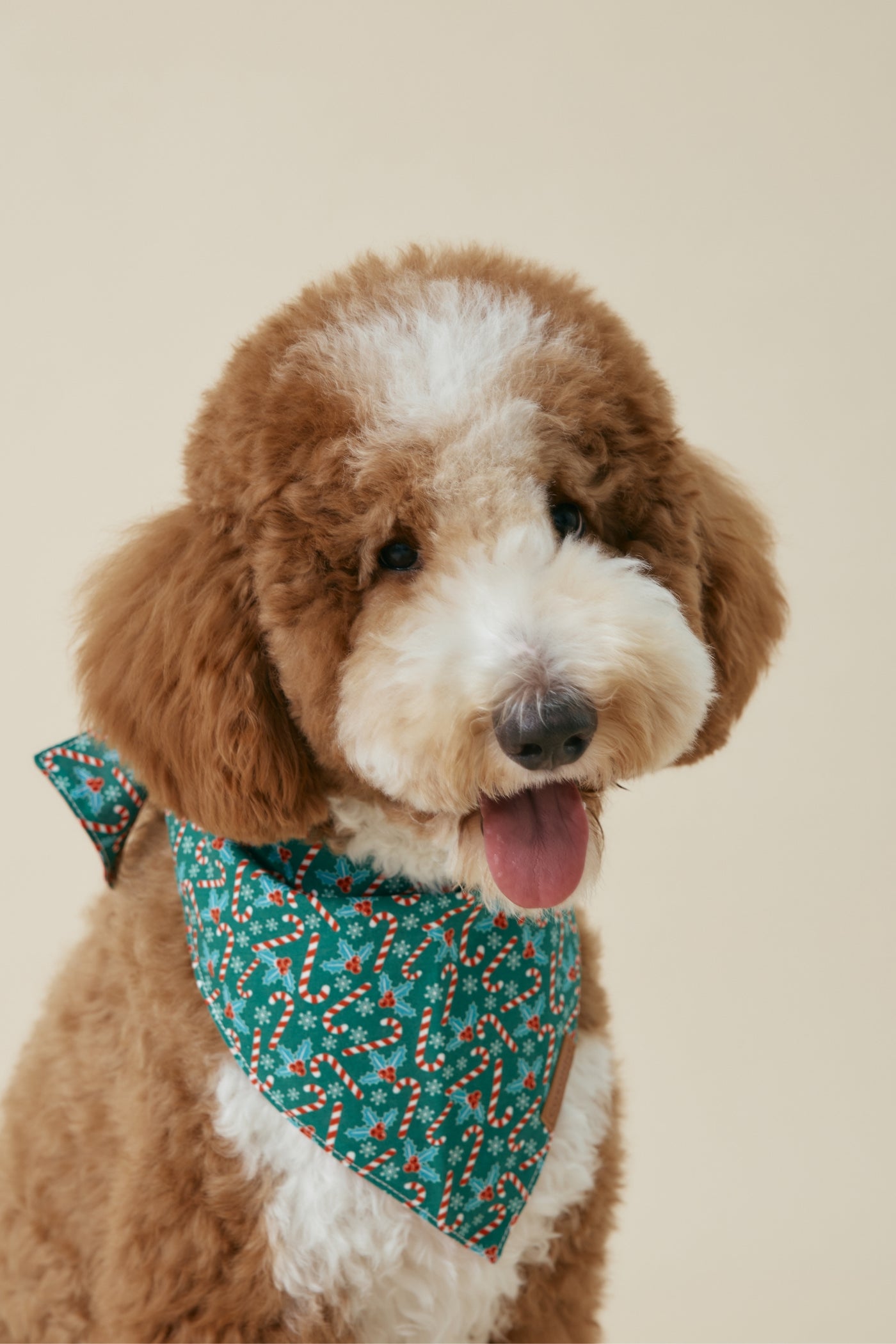 [COSONNE] Candycane Pet Bandanas