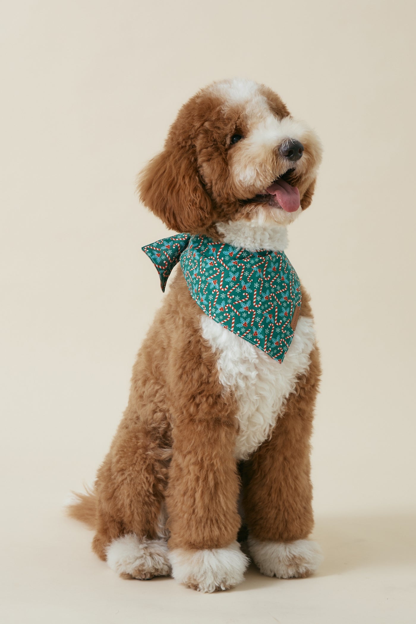 [COSONNE] Candycane Pet Bandanas