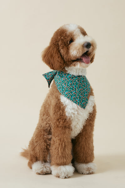 [COSONNE] Candycane Pet Bandanas