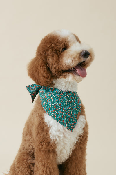 [COSONNE] Candycane Pet Bandanas