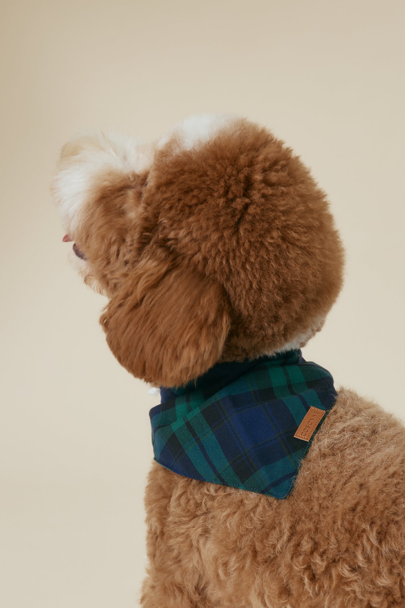 [COSONNE] Green Tartan Pet Bandanas