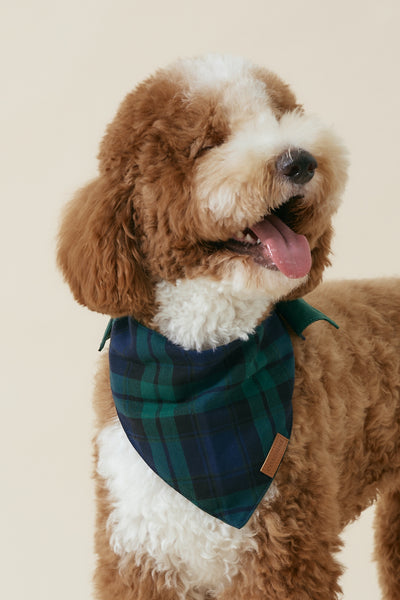 [COSONNE] Green Tartan Pet Bandanas