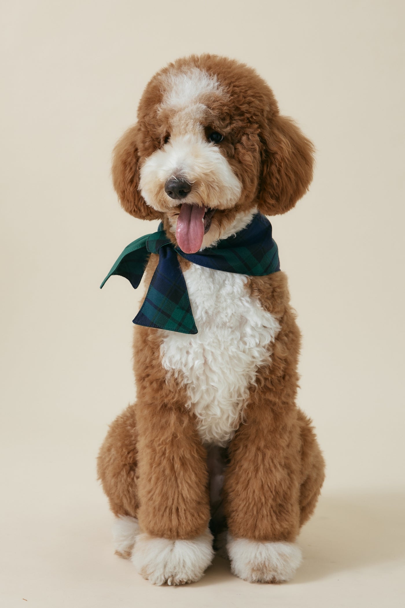 [COSONNE] Green Tartan Pet Bandanas