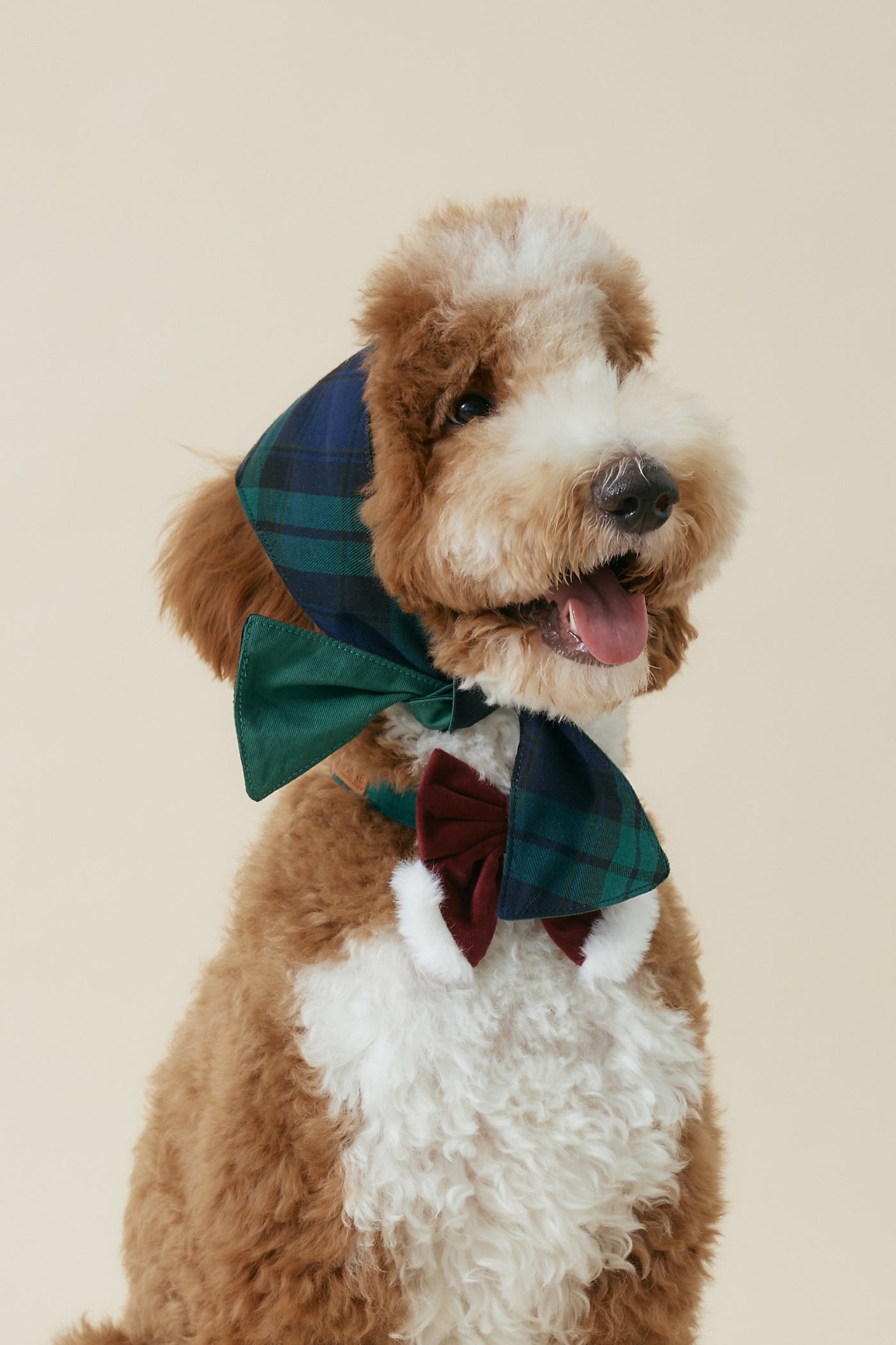[COSONNE] Green Tartan Pet Bandanas