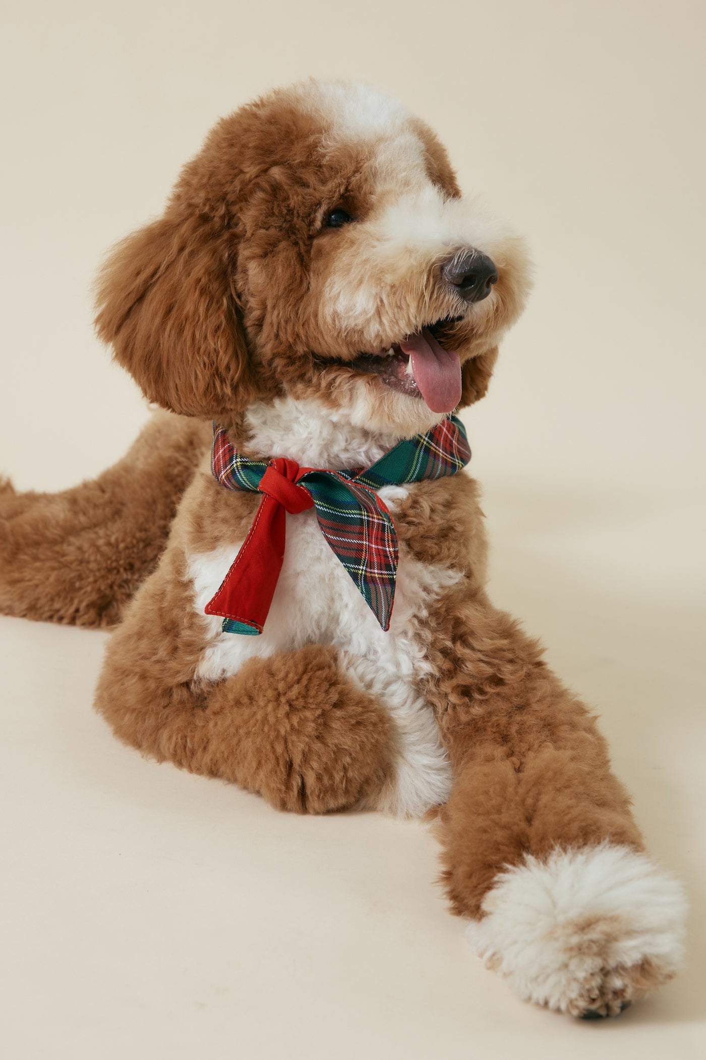 [COSONNE] Red Tartan Pet Bandanas