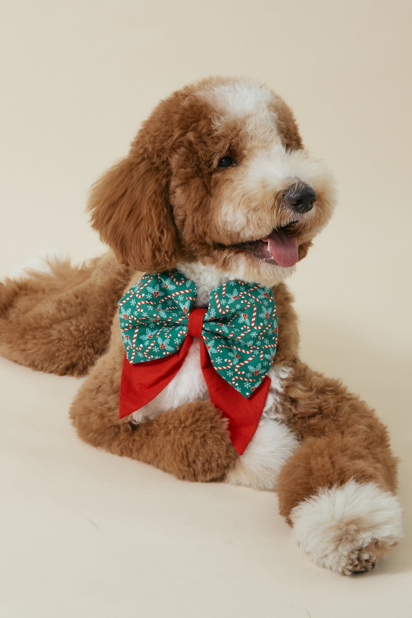 [COSONNE] Candycane Pet Sailorbows