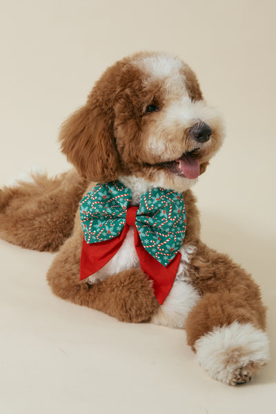 [COSONNE] Candycane Pet Sailorbows