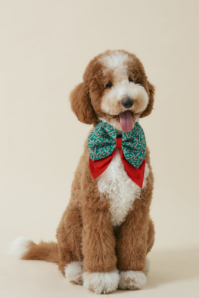 [COSONNE] Candycane Pet Sailorbows