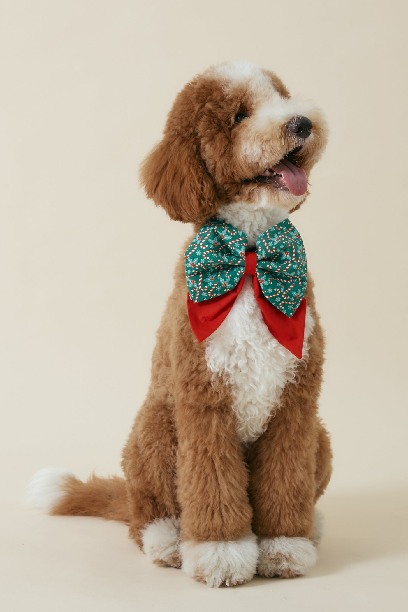 [COSONNE] Candycane Pet Sailorbows