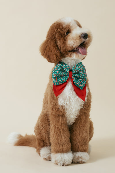 [COSONNE] Candycane Pet Sailorbows