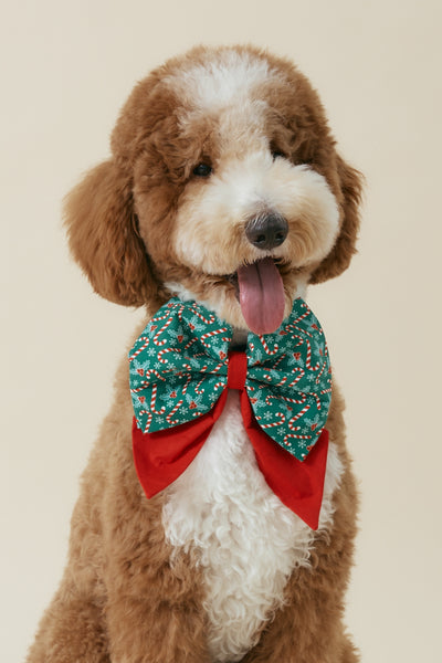 [COSONNE] Candycane Pet Sailorbows