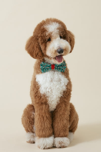 [COSONNE] Candycane Pet Bowties