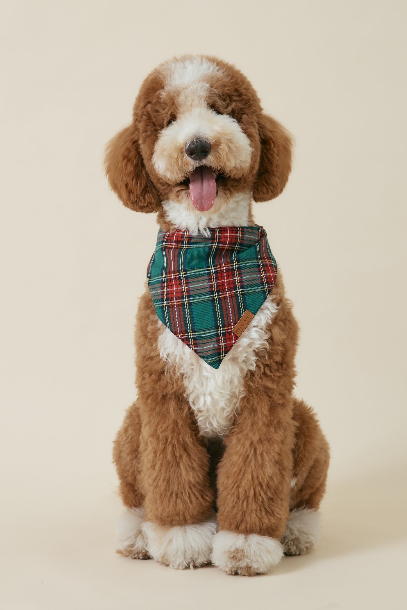[COSONNE] Red Tartan Pet Bandanas