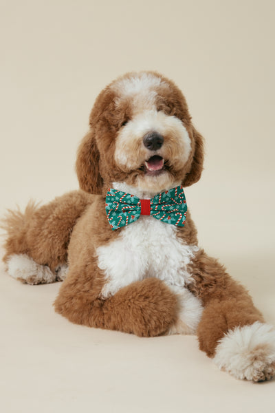 [COSONNE] Candycane Pet Bowties
