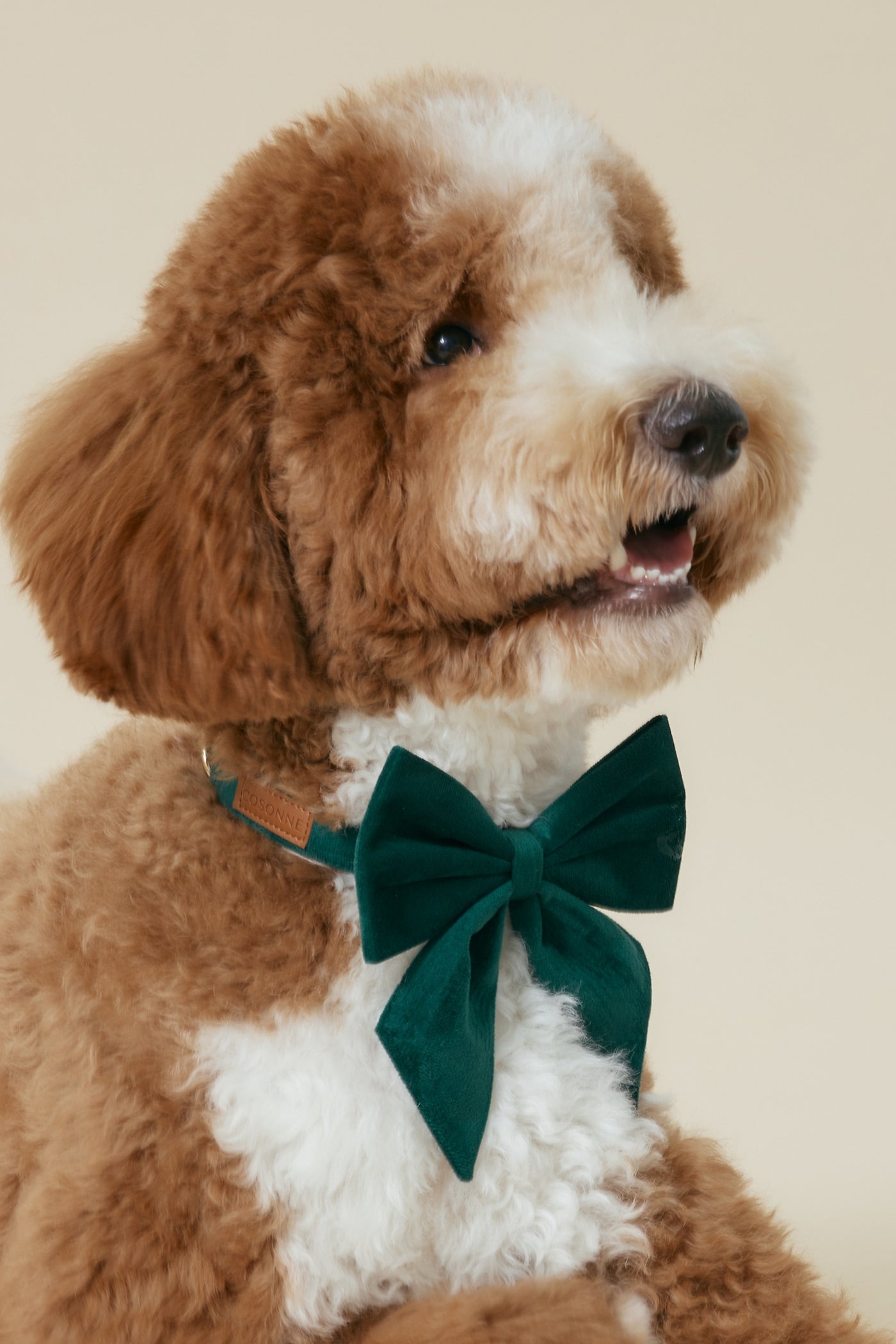 [COSONNE] Velvet Pet Neck Collar