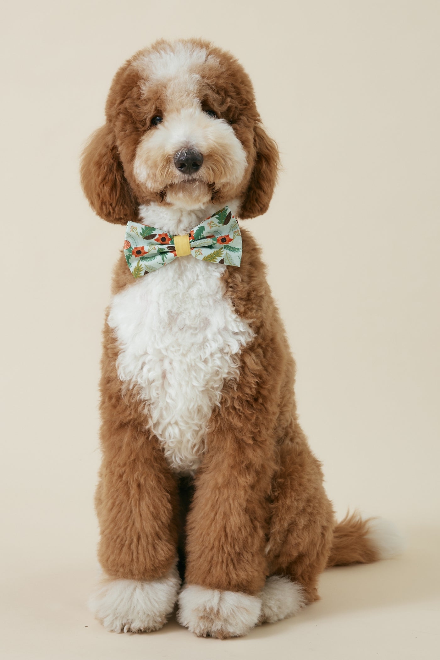 [COSONNE] Poinsettia Pet Bowties