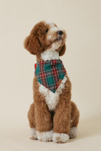 [COSONNE] Red Tartan Pet Bandanas