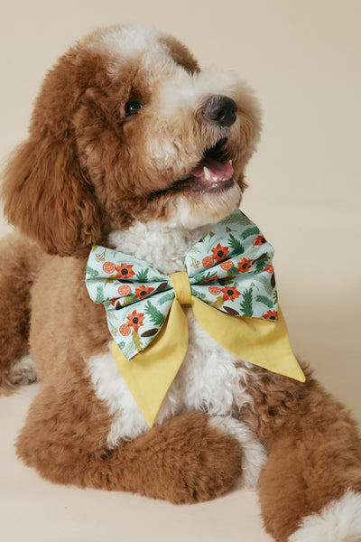 [COSONNE] Poinsettia Pet Sailorbows