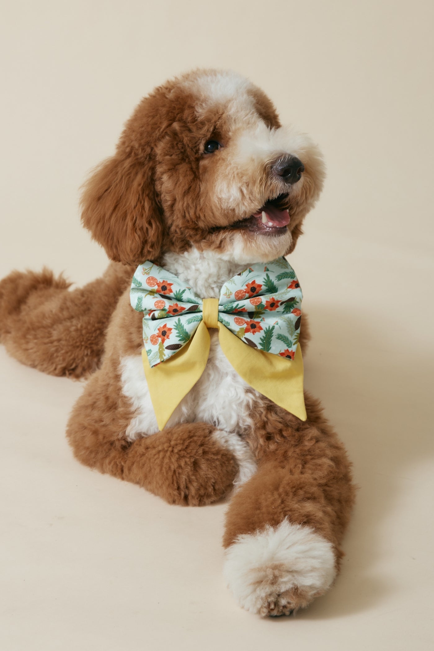 [COSONNE] Poinsettia Pet Sailorbows