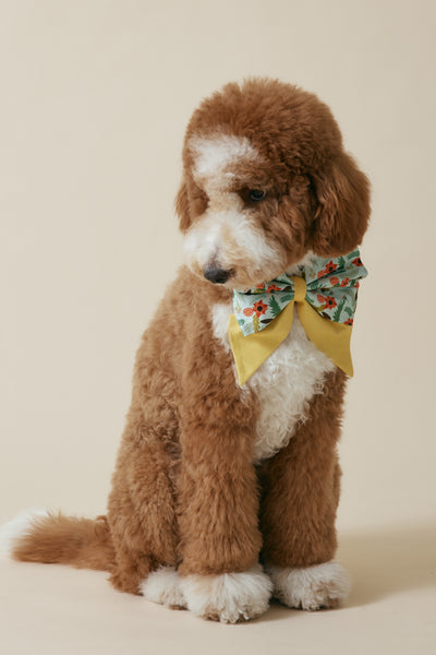 [COSONNE] Poinsettia Pet Sailorbows