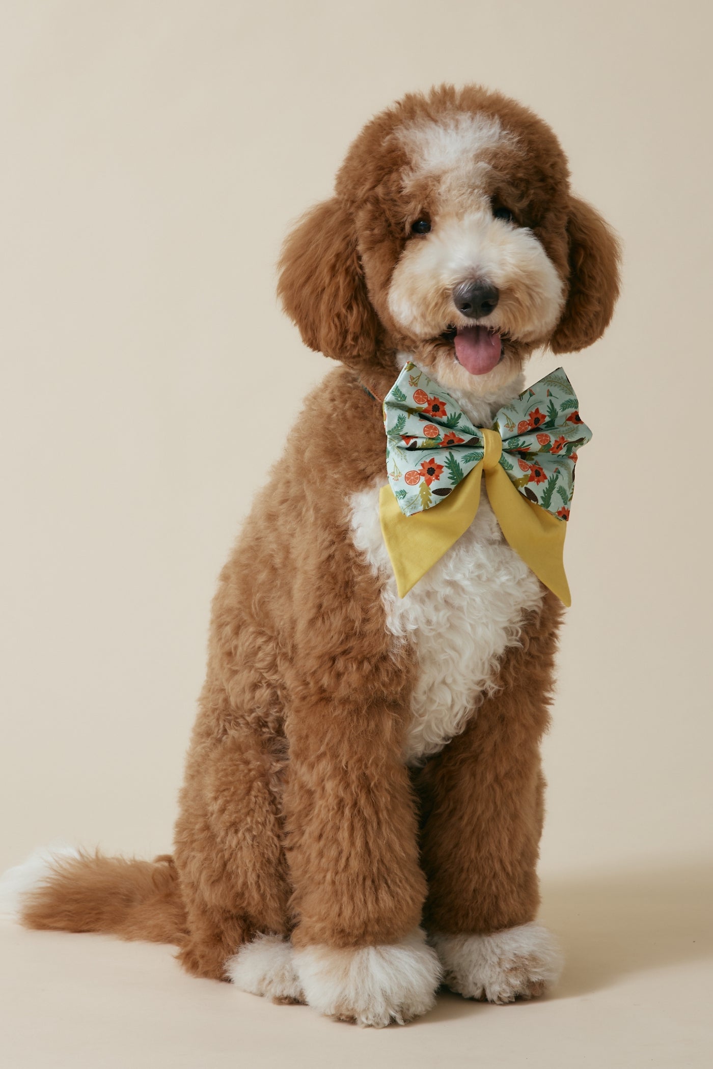 [COSONNE] Poinsettia Pet Sailorbows