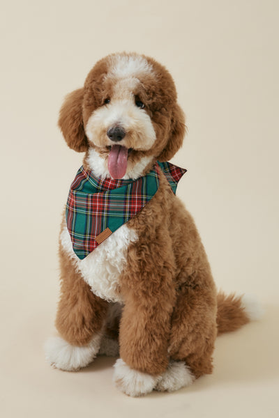 [COSONNE] Red Tartan Pet Bandanas