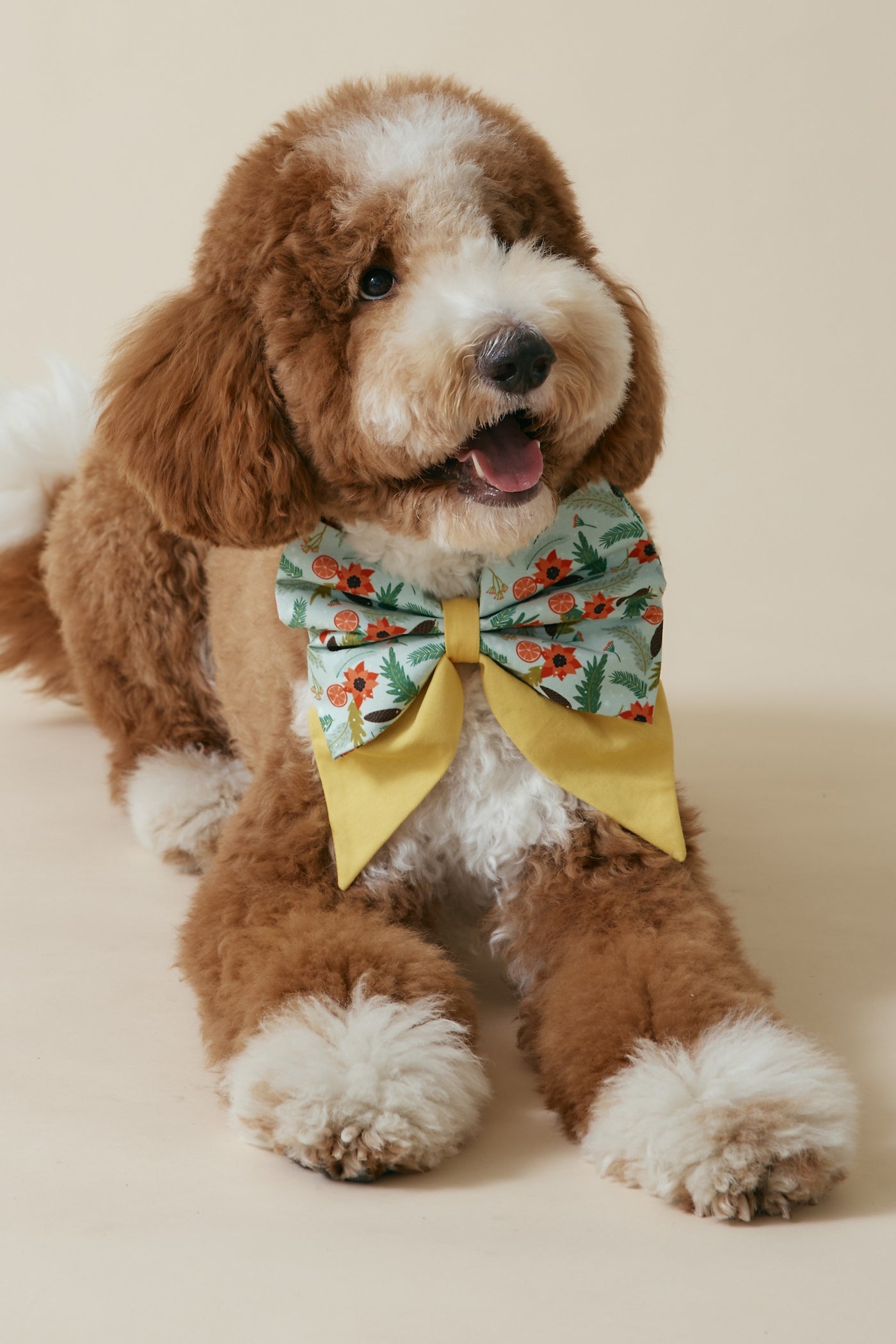 [COSONNE] Poinsettia Pet Sailorbows