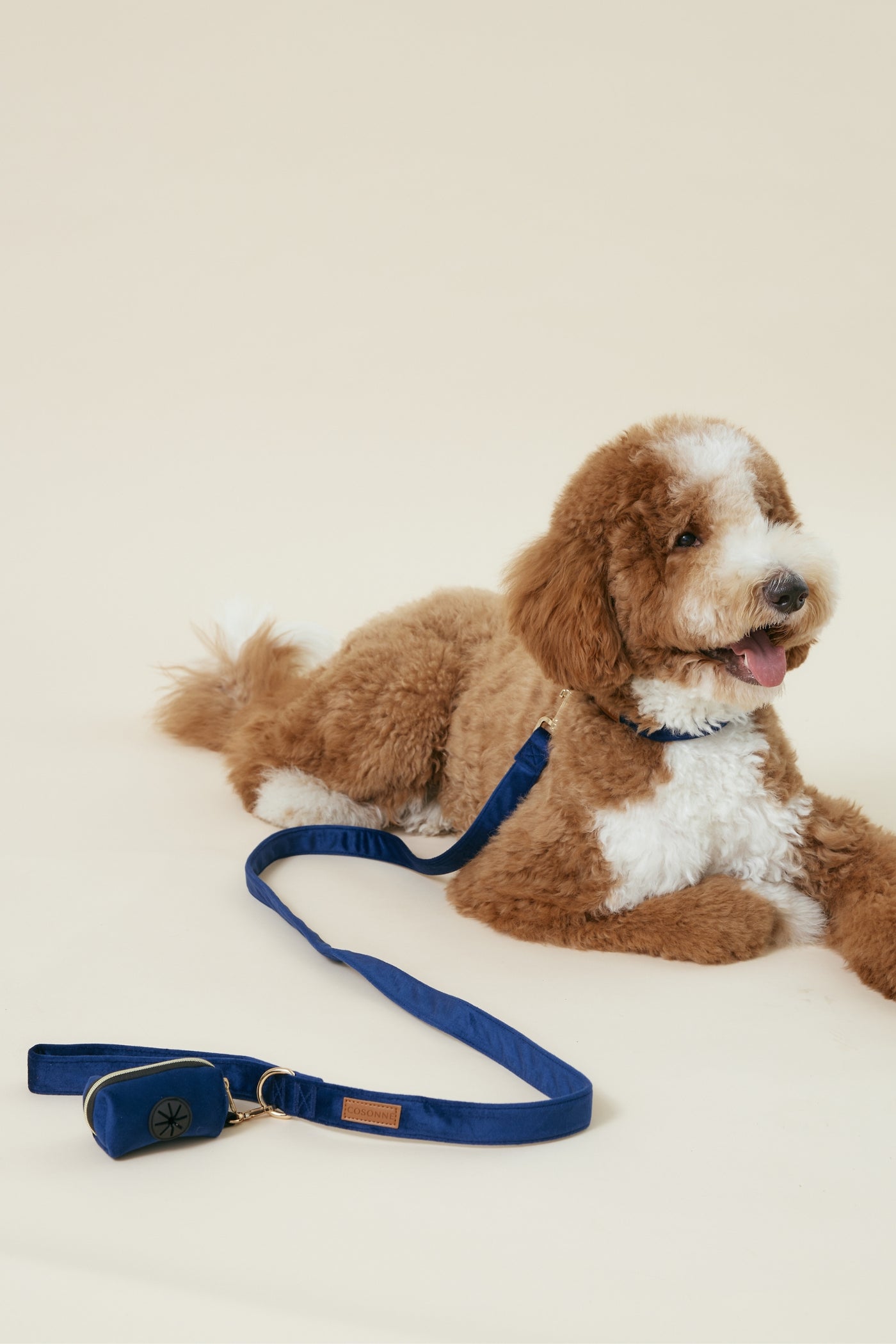 [COSONNE] Velvet Pet Waste Dispenser