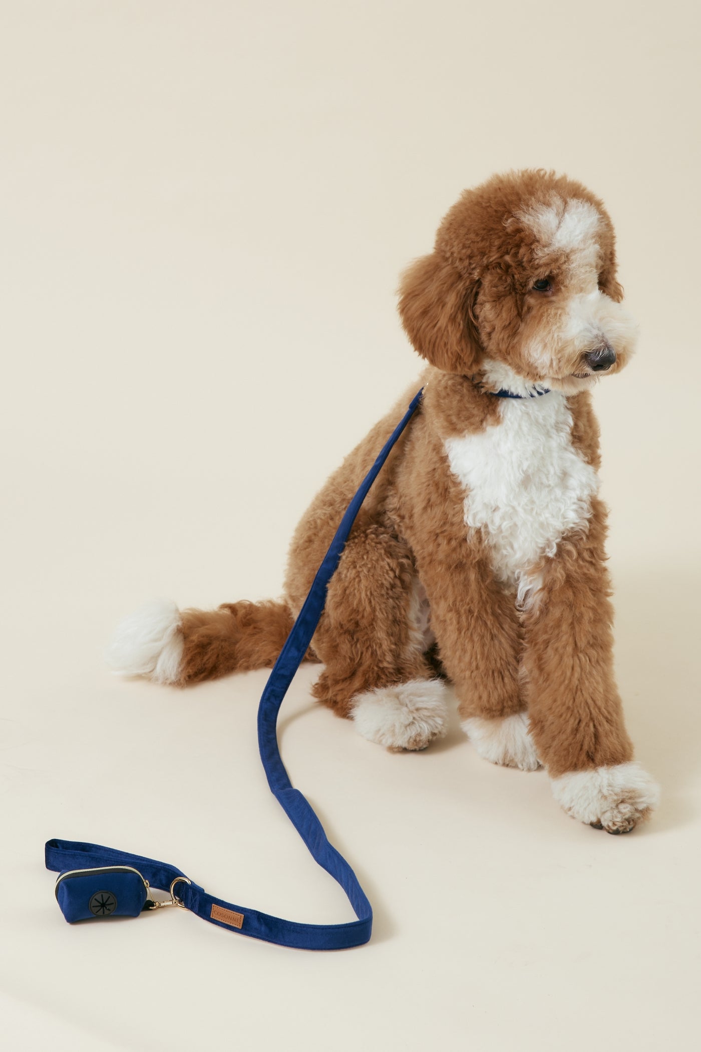 [COSONNE] Velvet Pet Waste Dispenser