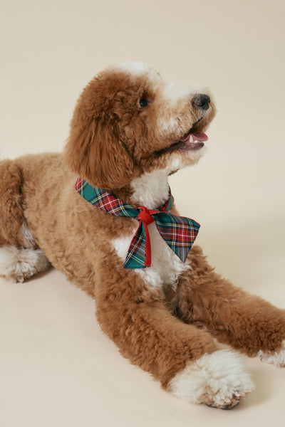 [COSONNE] Red Tartan Pet Bandanas
