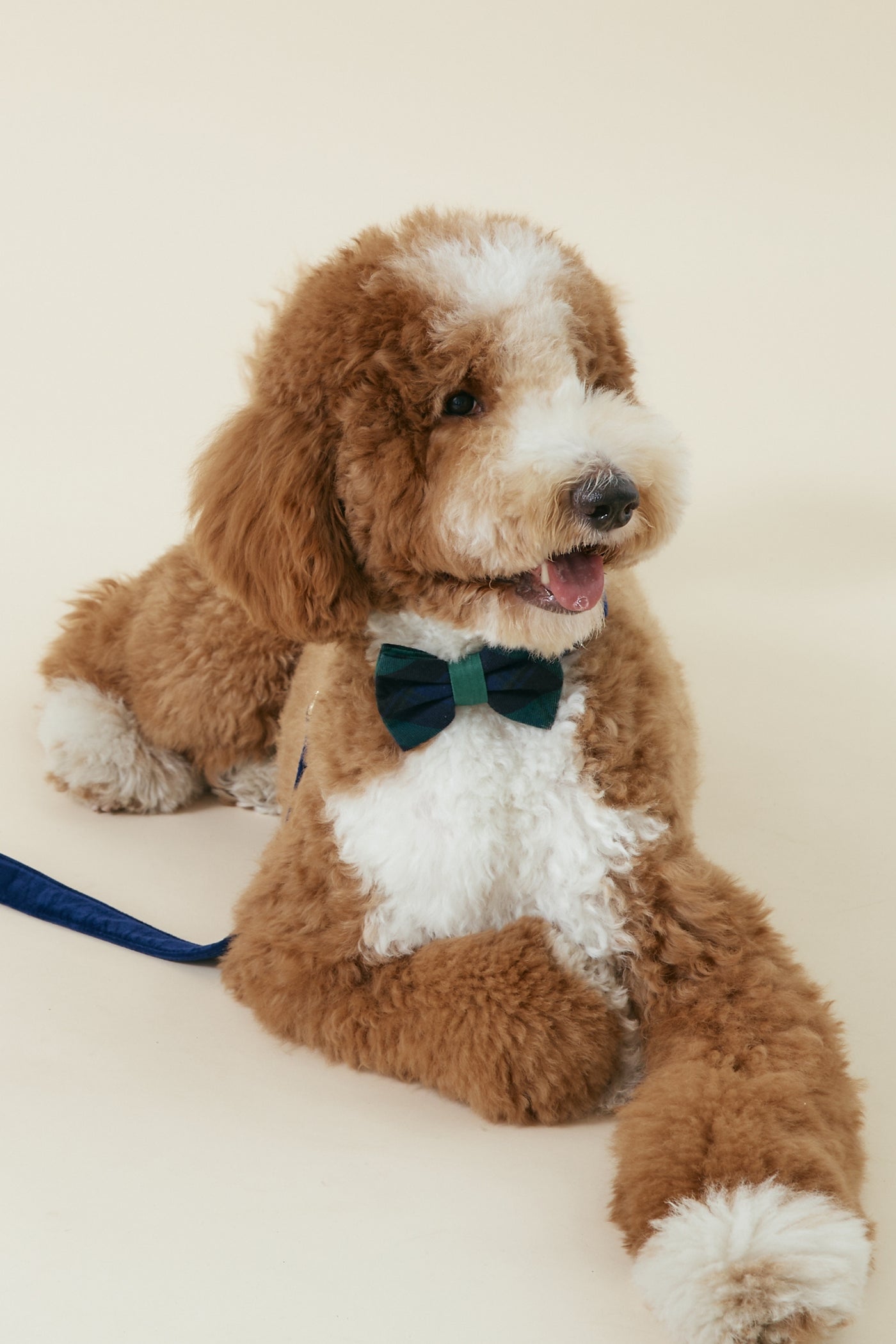 [COSONNE] Green Tartan Pet Bowties