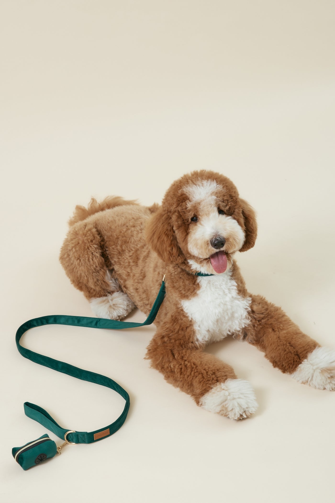 [COSONNE] Velvet Pet Waste Dispenser