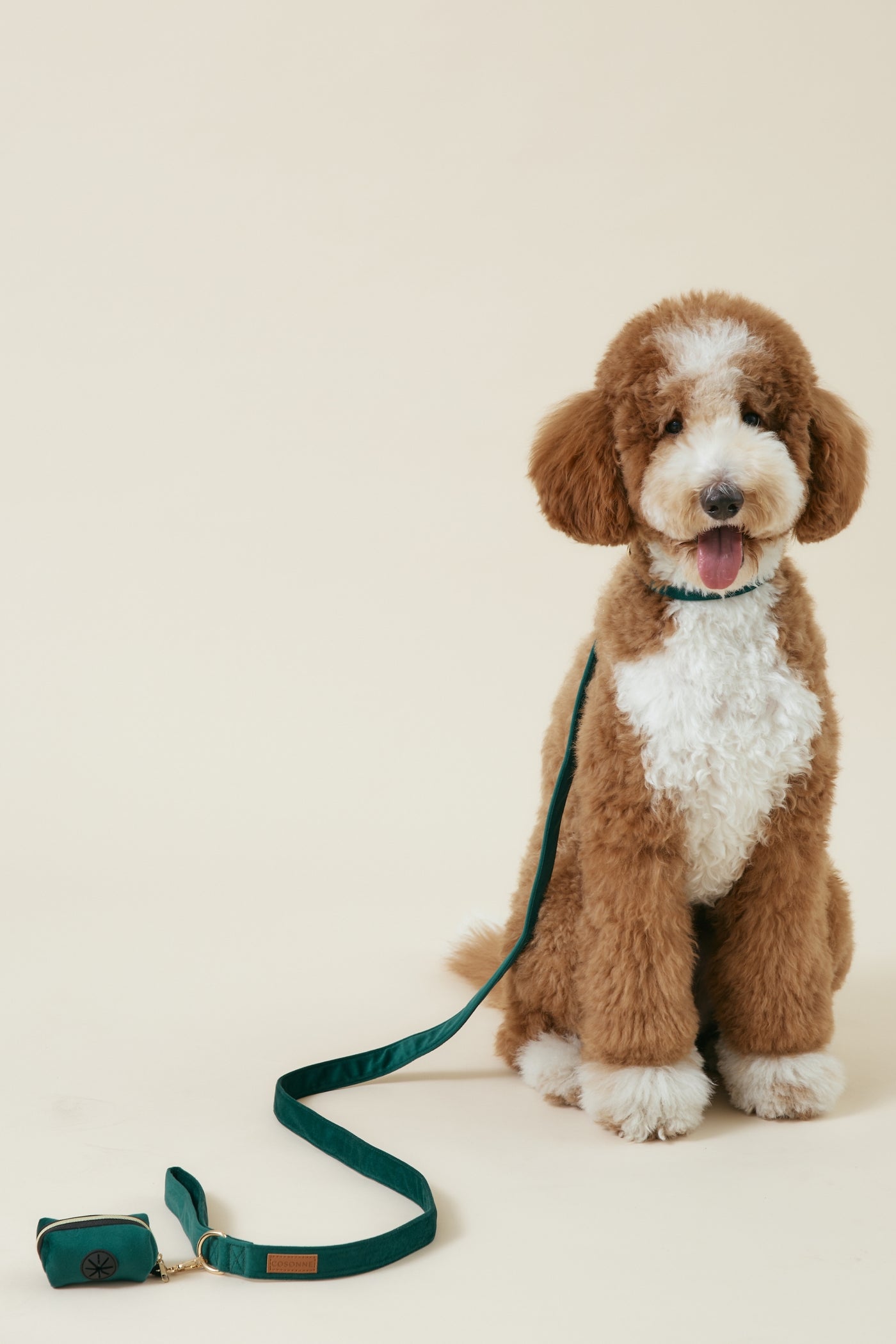 [COSONNE] Velvet Pet Leash