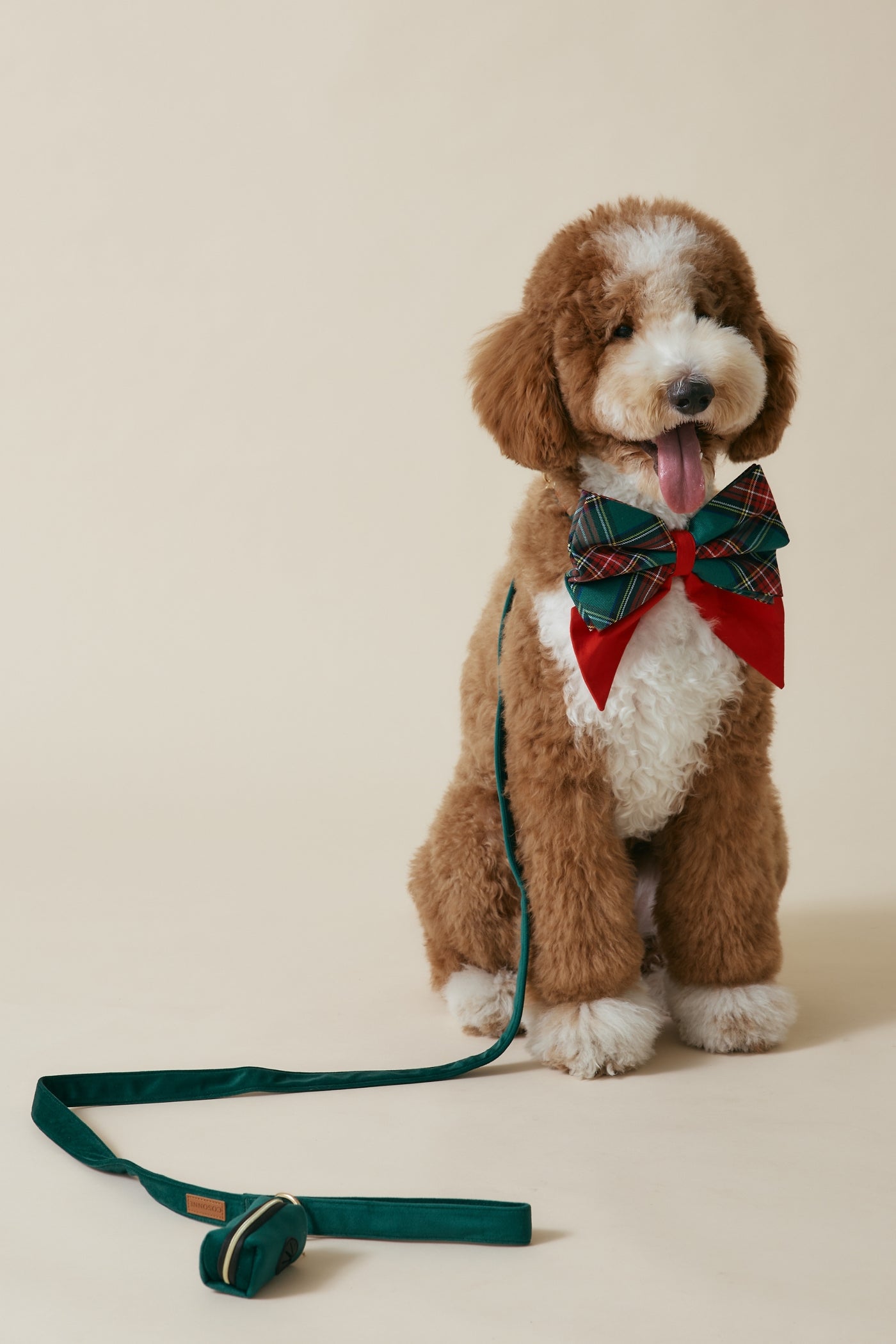 [COSONNE] Velvet Pet Waste Dispenser