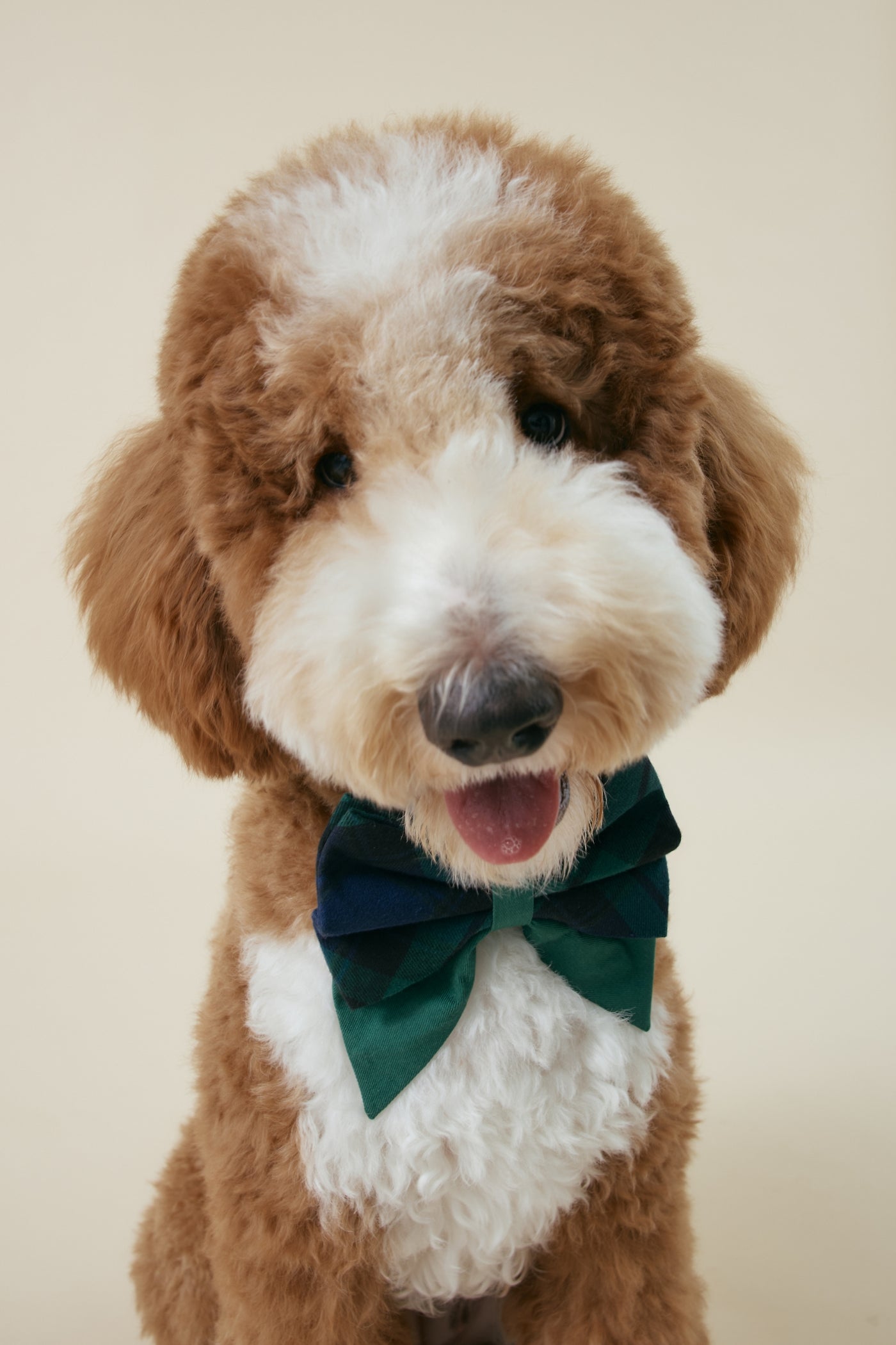 [COSONNE] Green Tartan Pet Sailorbows