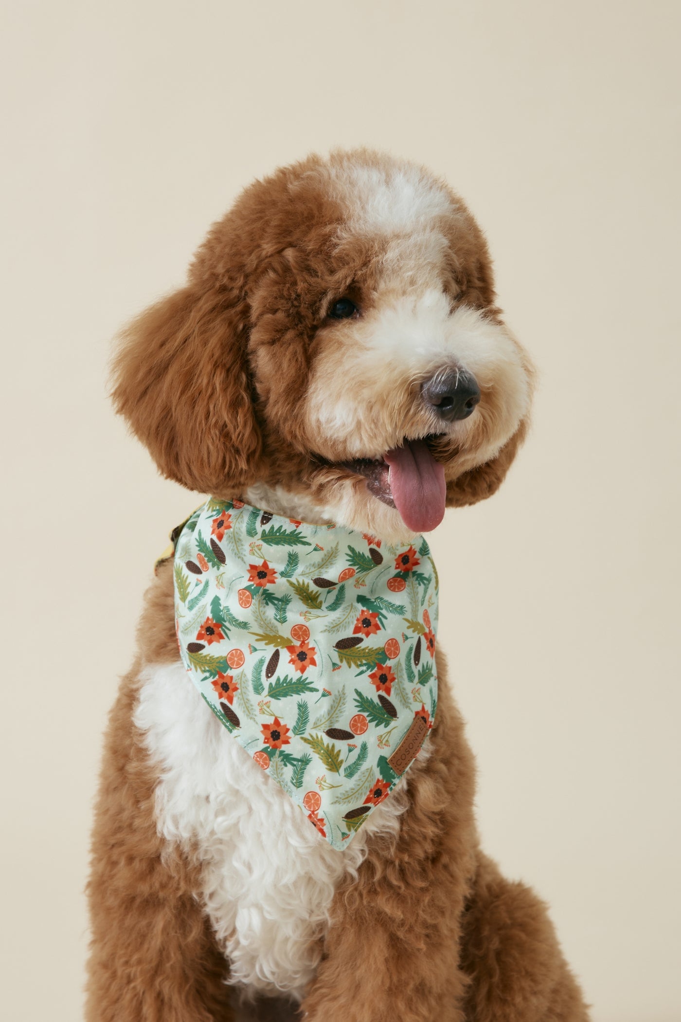 [COSONNE] Poinsettia Pet Bandanas