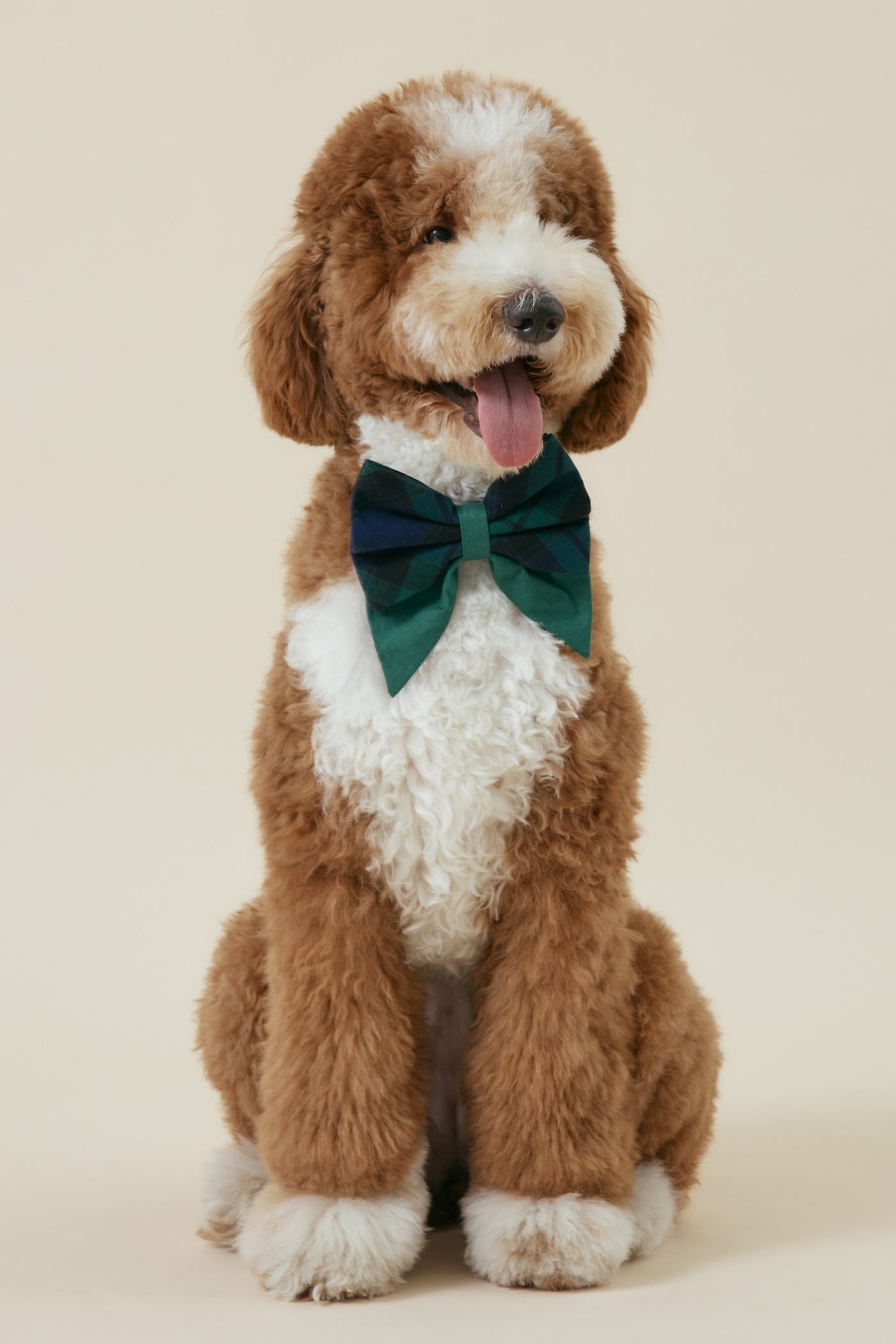 [COSONNE] Green Tartan Pet Sailorbows