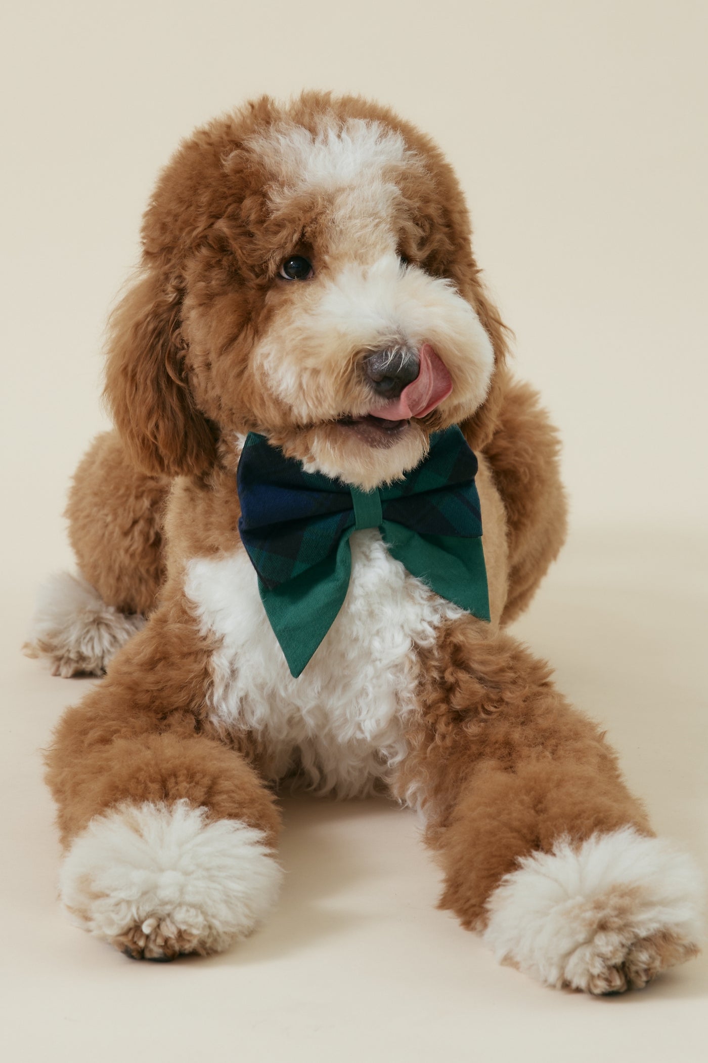 [COSONNE] Green Tartan Pet Sailorbows