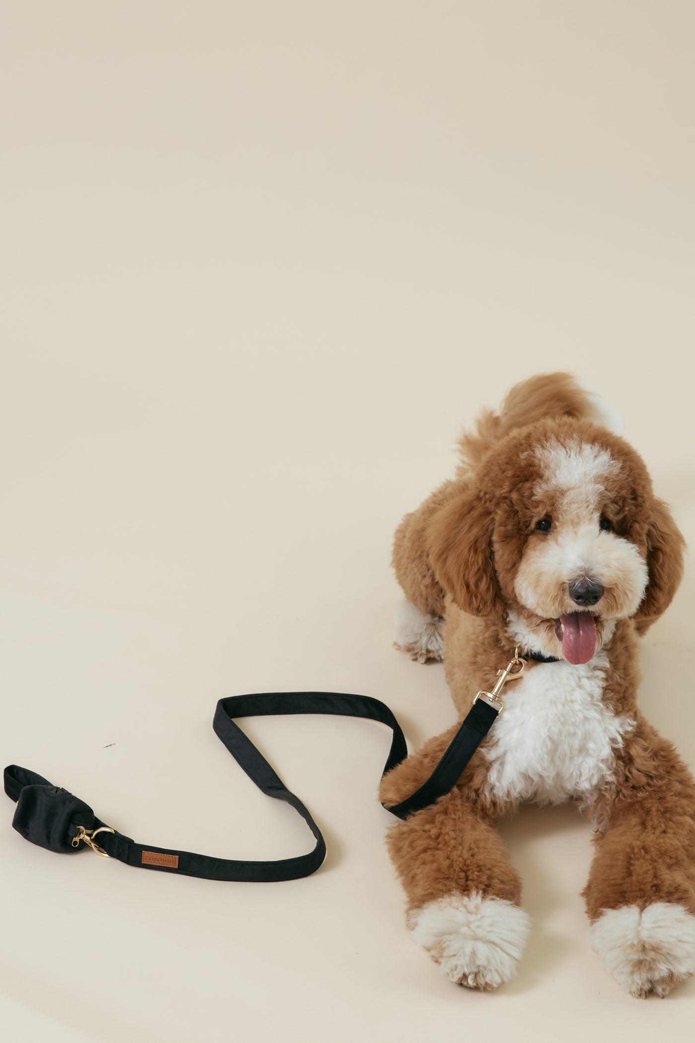 [COSONNE] Velvet Pet Leash