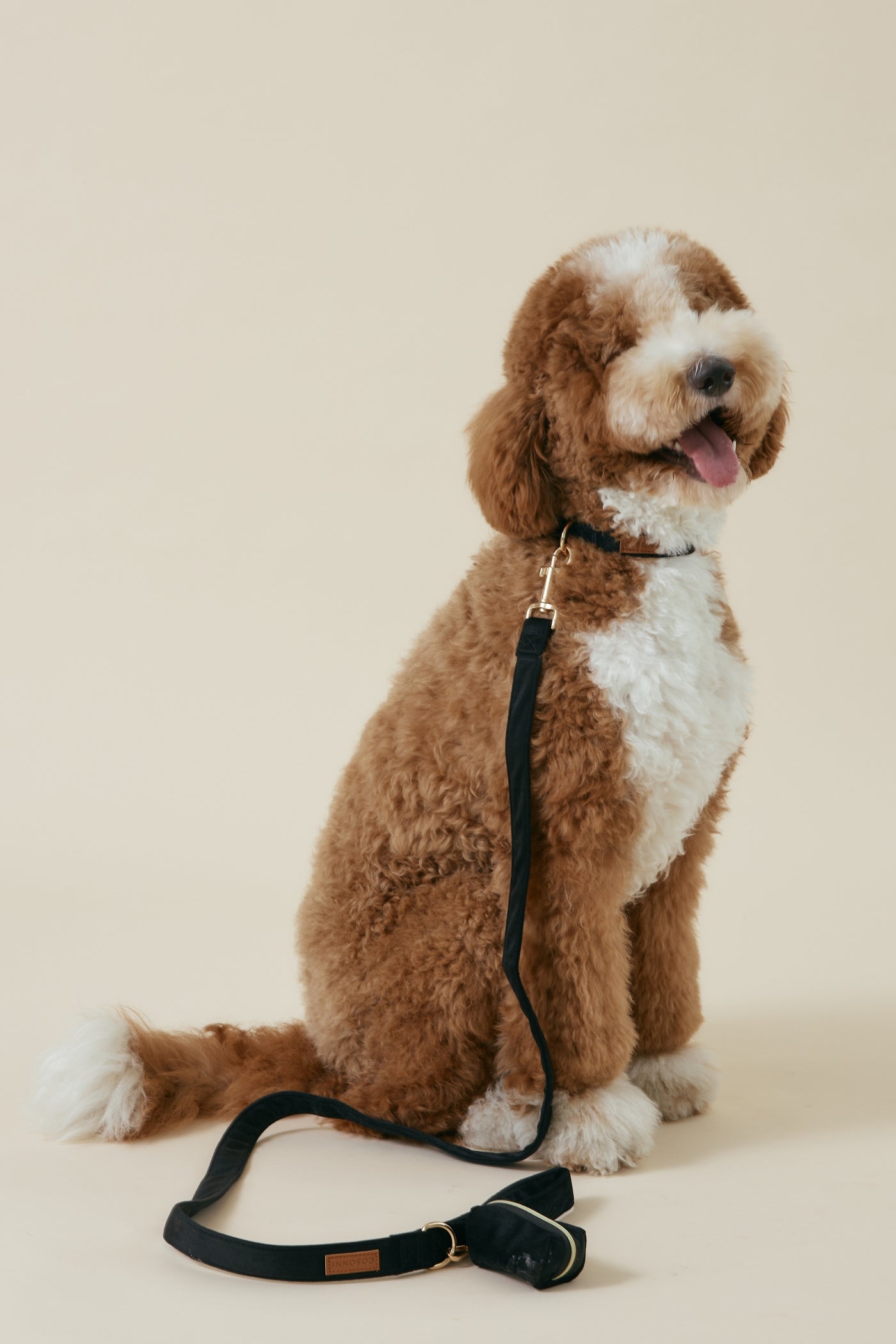 [COSONNE] Velvet Pet Leash