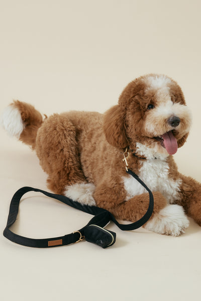 [COSONNE] Velvet Pet Waste Dispenser