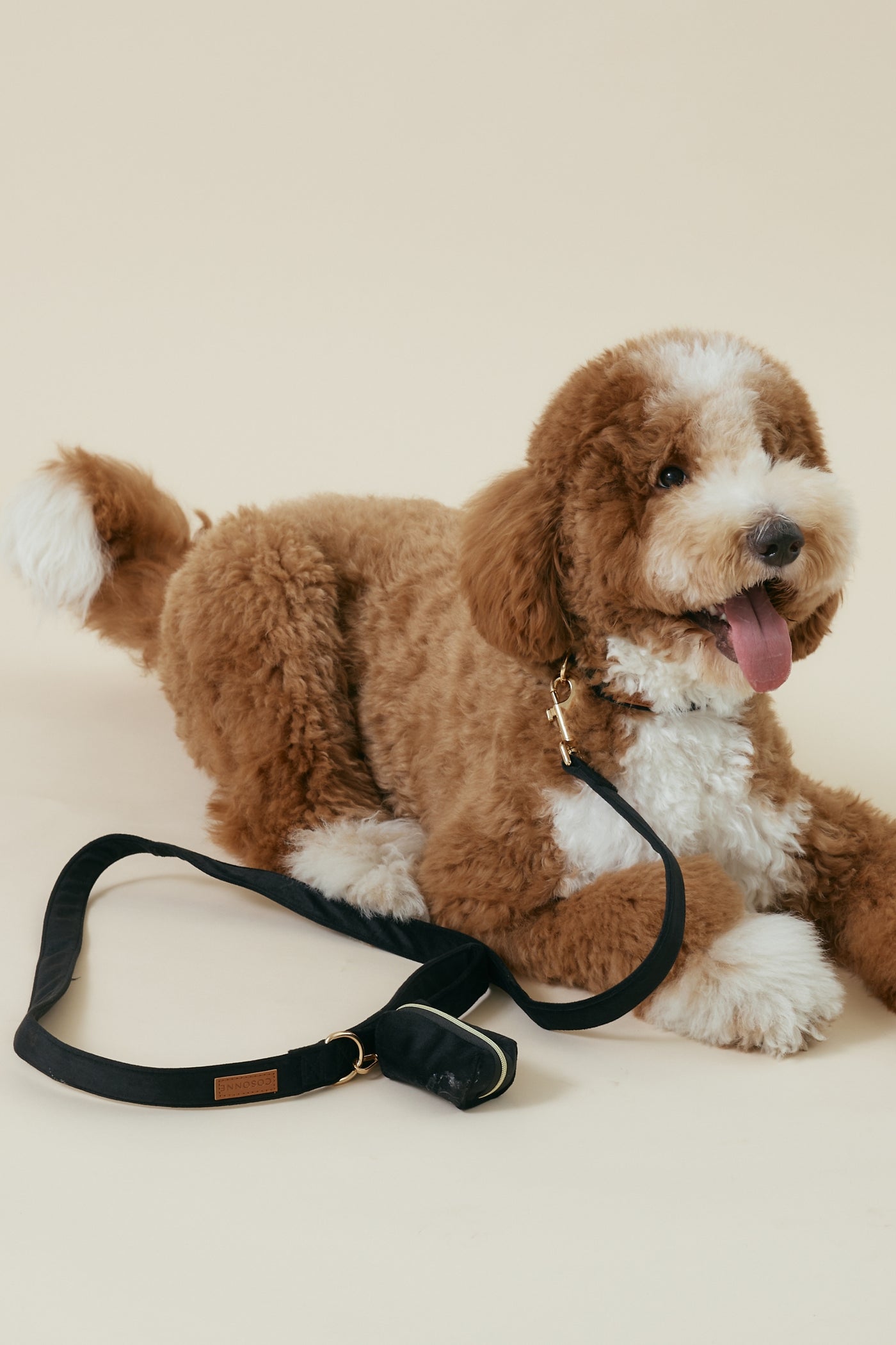 [COSONNE] Velvet Pet Leash