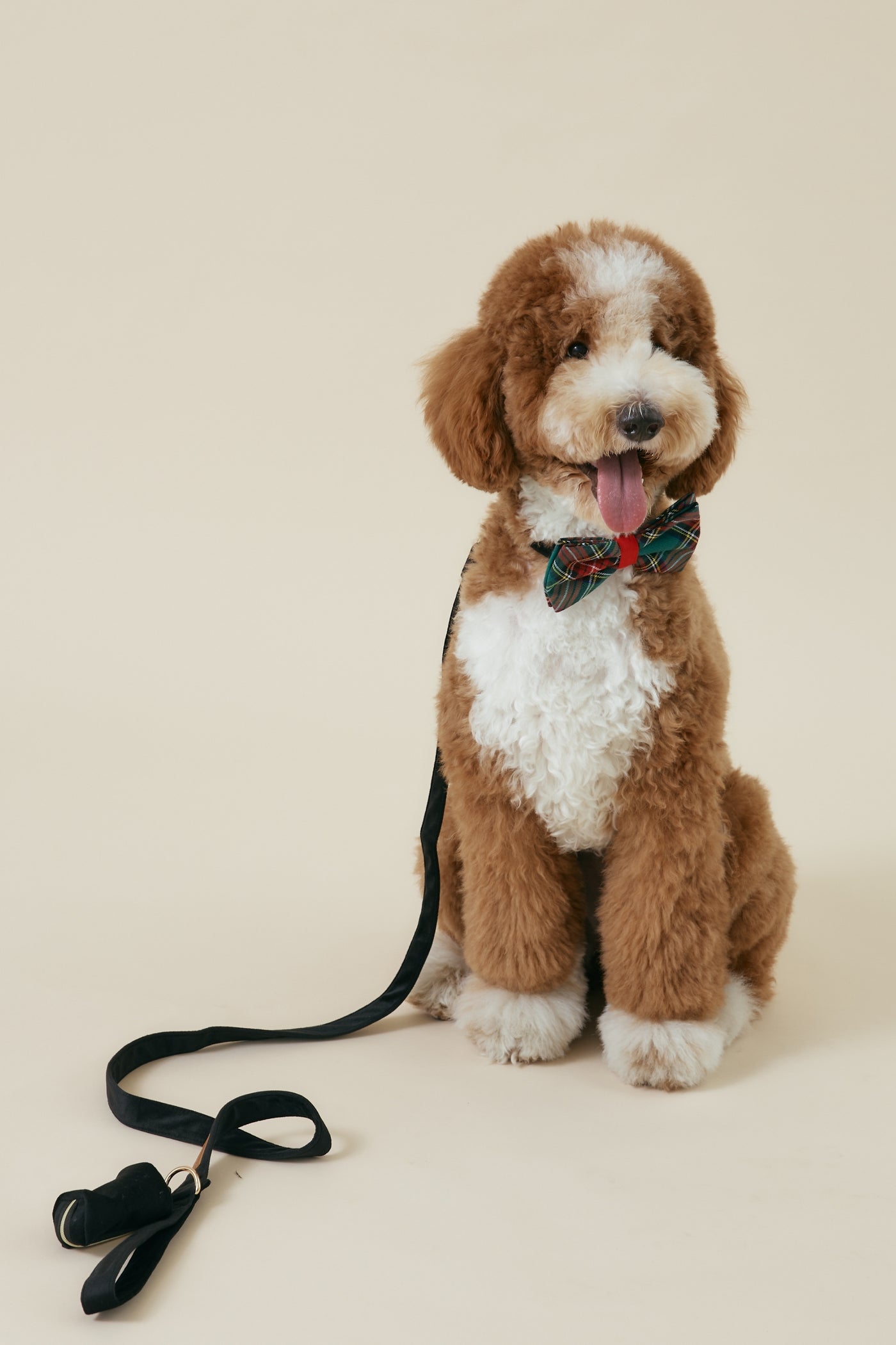 [COSONNE] Velvet Pet Leash