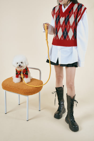 storets.com [COSONNE] Braided Neck Collar(for pet)