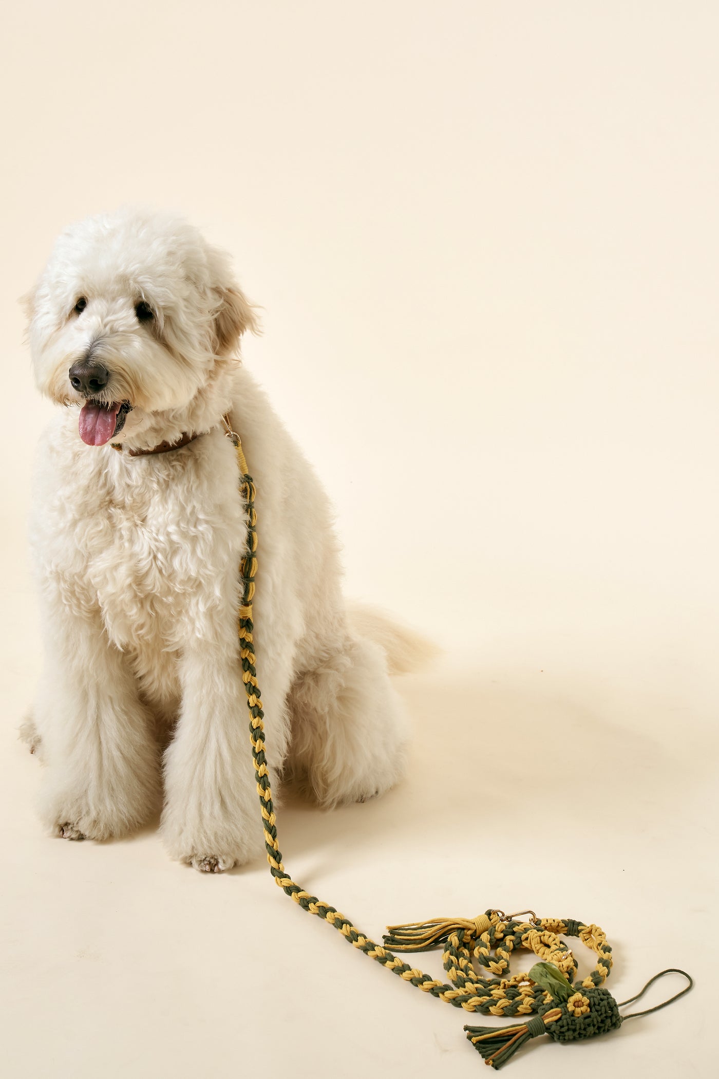 storets.com [COSONNE] Flower Macrame Hands Free Pet Leash(for pet)