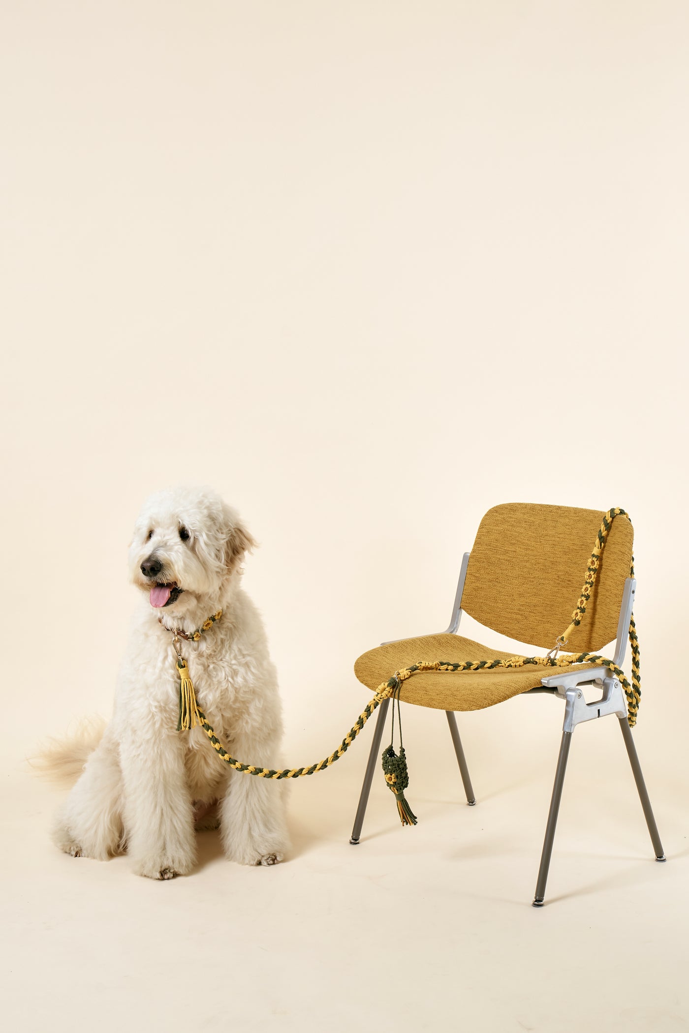 storets.com [COSONNE] Flower Macrame Neck Collar(for pet)