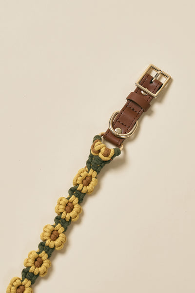storets.com [COSONNE] Flower Macrame Neck Collar(for pet)