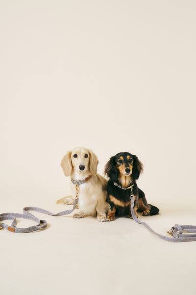 storets.com [COSONNE] Herringbone Hands-free Pet Leash